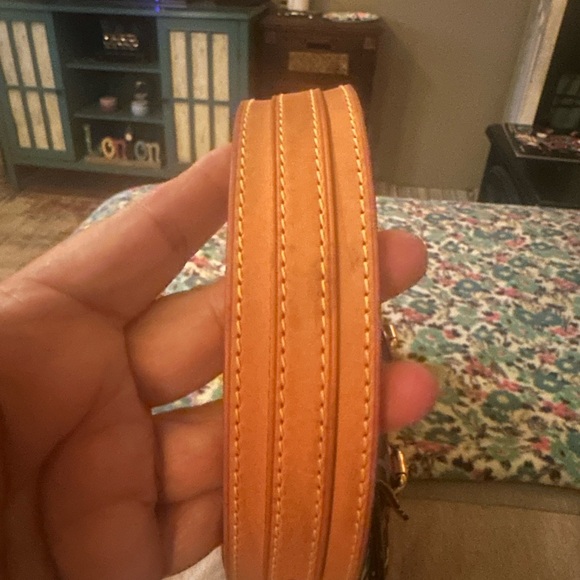 Louis Vuitton Monogram Multicolor Lodge PM Bag - Picture 15 of 17